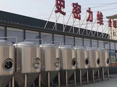 孟连精酿啤酒设备厂—如何判断精酿啤酒设备的密封件需要更换？